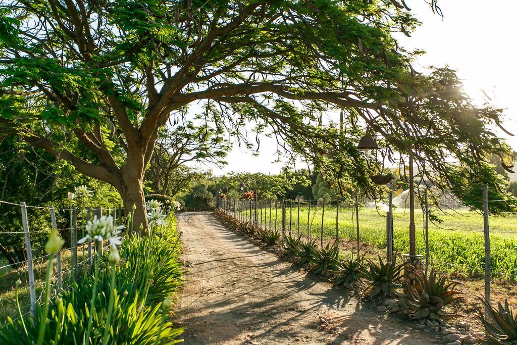 Die Fonteine Country Guesthouse And Glamping Oudtshoorn Bagian luar foto