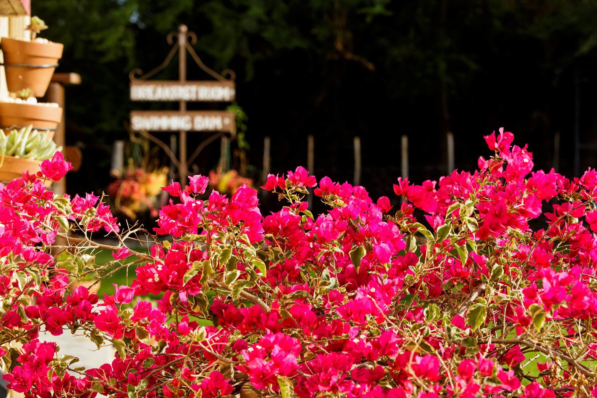 Die Fonteine Country Guesthouse And Glamping Oudtshoorn Bagian luar foto